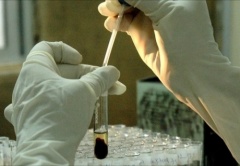 В Сысертском городском округе 70 ВИЧ- инфицированных 