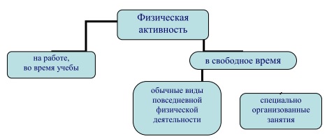 Организация физического