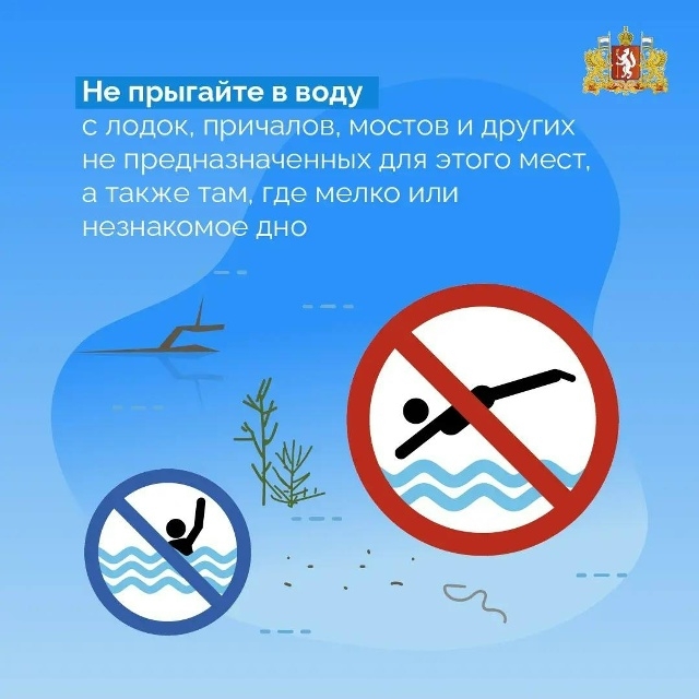 Сообщение