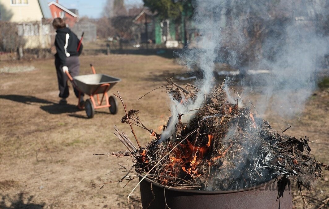 Сообщение Сообщение