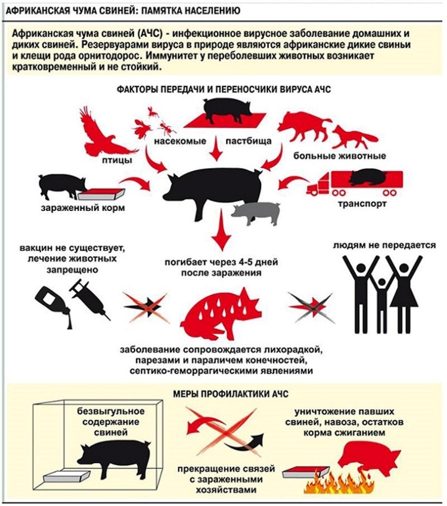 Сообщение