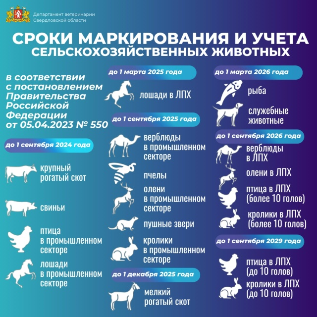 Сообщение Сообщение