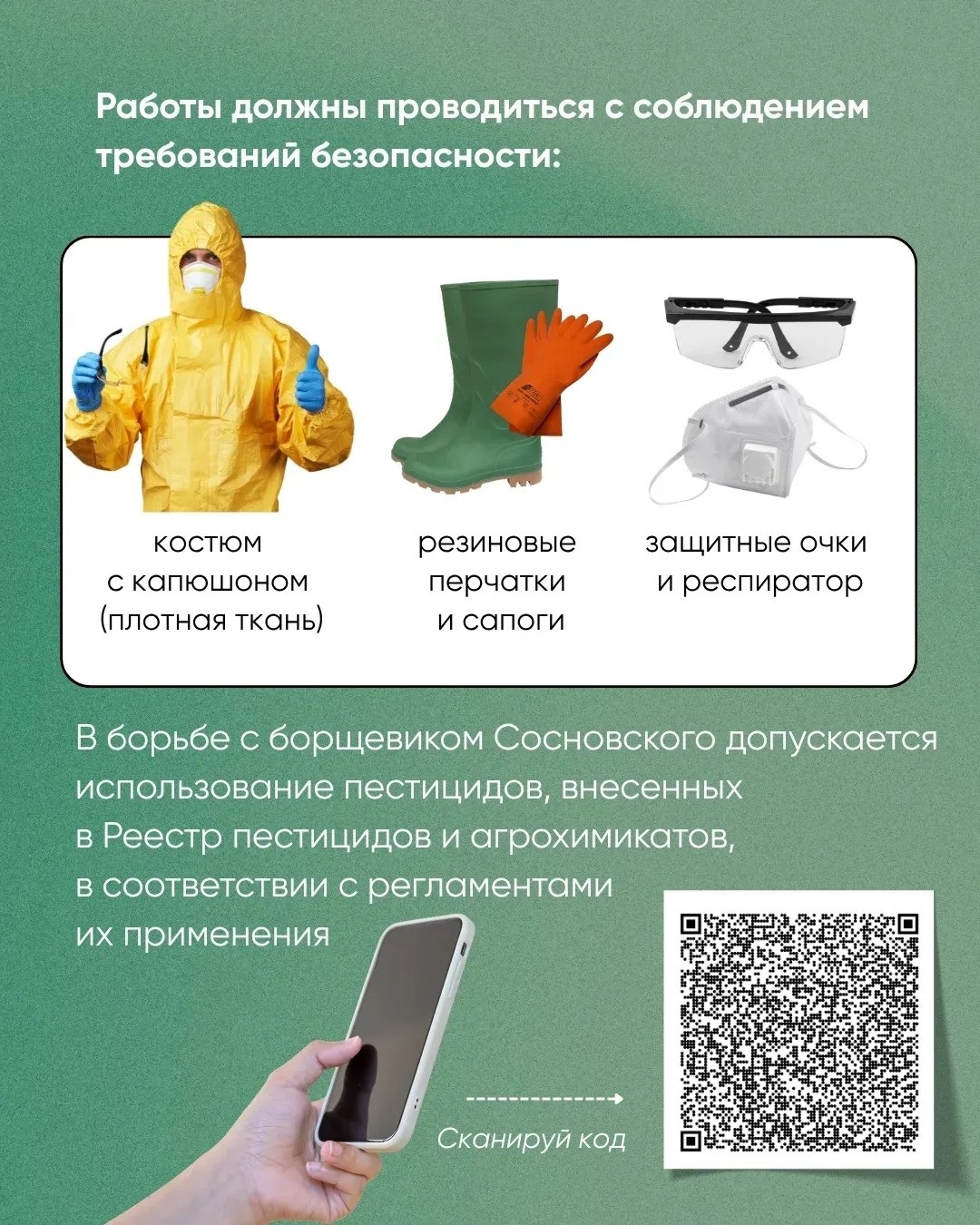 Сообщение