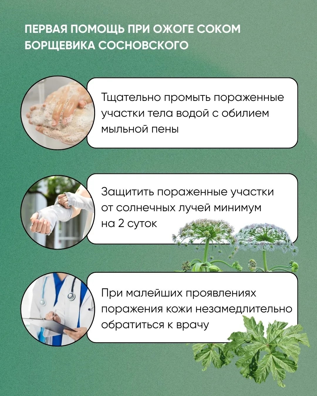 Сообщение