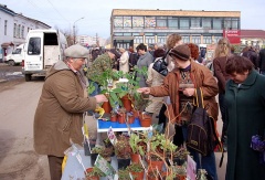 Готовимся к сельскохозяйственным ярмаркам