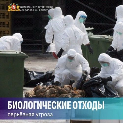 Биологические отходы